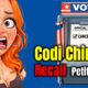 Codi Chinn recall petition