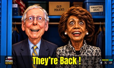 Cartoon Caricature of Mitch McConnell and Maxine Waters being catatonic in a closet