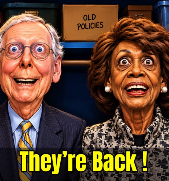 Cartoon Caricature of Mitch McConnell and Maxine Waters being catatonic in a closet