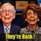 Cartoon Caricature of Mitch McConnell and Maxine Waters being catatonic in a closet