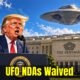 Cartoon of Trump in front of the Pentagon with UFO overhead