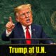 President Trump gives speech at U.N.